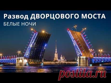 Друзья, как всегда, неповторимая атмосфера ночного Санкт-Петербурга  и разводка 700-тонного дворцового моста под Аплодисменты горожан и туристов, собравшихся на Адмиралтейской и Университетской Набережных и фанфары многочисленных прогулочных и частных яхт и катеров. а прекрасная погода 23 градуса ночью сопутствует приятному время препровождению.