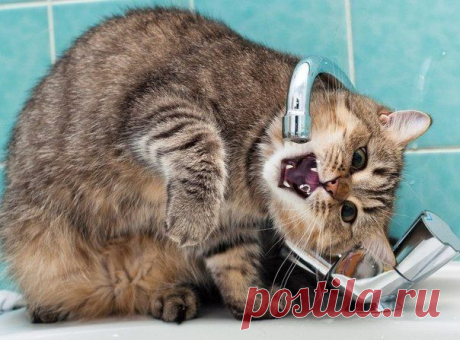 Не отступать и не сдаваться!