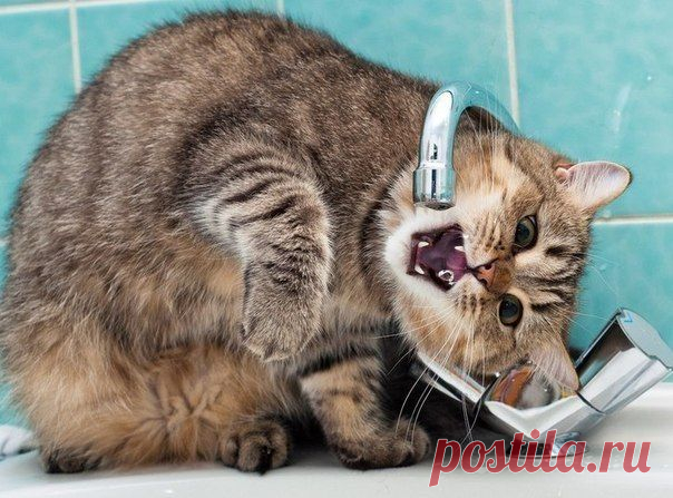 Не отступать и не сдаваться!