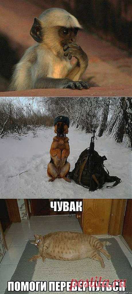 (2) Одноклассники