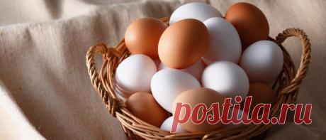 Почему дорожают яйца до Пасхи: рост спроса, инфляция и скрытые причины ценового скачка — socword