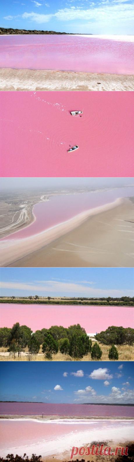 (+1) тема - Розовое озеро! | НАУКА И ЖИЗНЬ