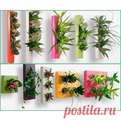 Фитоминиатюры