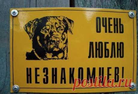 А гостям тут не рады (подборка)