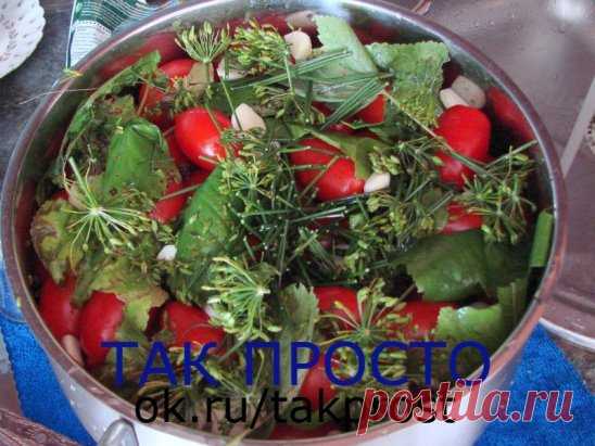 Мамочкам в копилку!
Малосольные помидоры-огурцы
6 короткоплодных огурчиков, 3 средних помидорки, 2 ст.л.соли, пол-чайной ложки крупно-молотого черного перца, 5 долек чеснока, пучок зелени(укроп).
Взять два полиэтиленовых пакета, вложить один в один и заполнить огурчиками порезанными на две части и без 