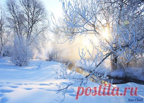 Др Сан Чад * МОДЕРН АРТ | 184 фотографии