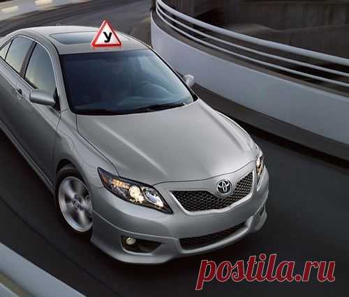 Этому вас не научат в автошколе(1 фото)