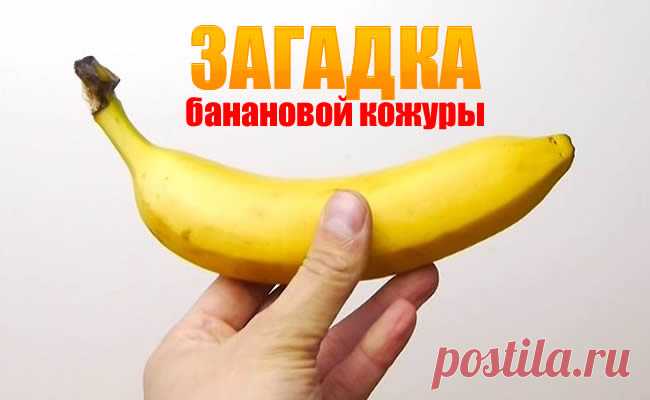 Загадка банановой кожуры.