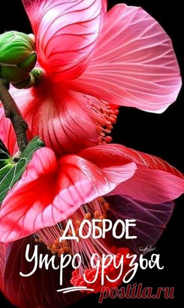 С добрым утром