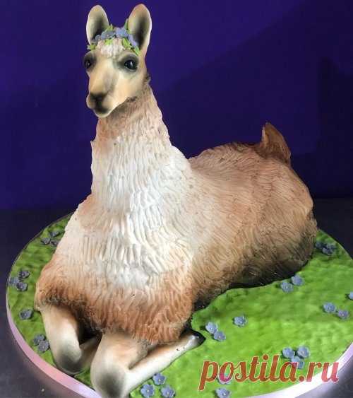 3D-торты от Молли Роббинс