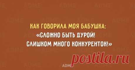 15 открыток с бабушкиной мудростью / Болталка / Разговоры на любые темы