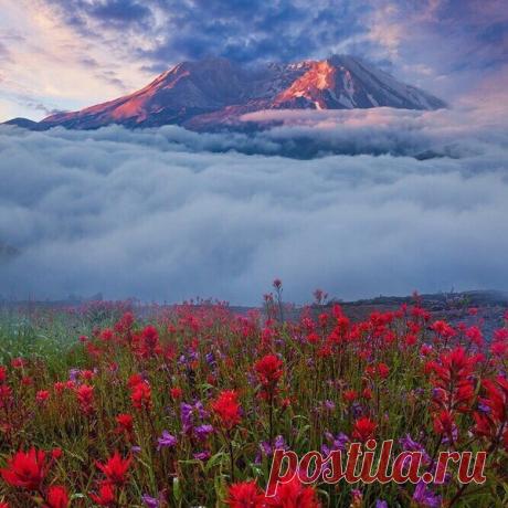 Мой Мир@Mail.Ru