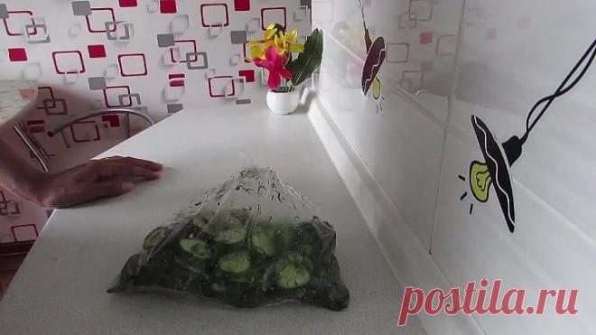 малосольные огурцы