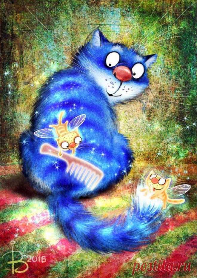 Синие коты - 61 фото - картинки: смотреть онлайн