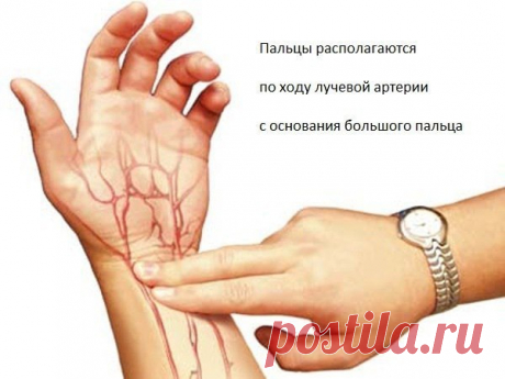 Почему пульс должен быть в норме и как его проверить? — Красота и здоровье