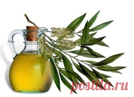 Масло чайного дерева в рецептах здоровья и красоты вашего лица