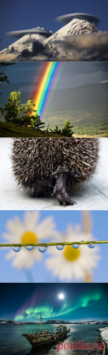 15 фотографий дикой природы России, от которых замирает сердце