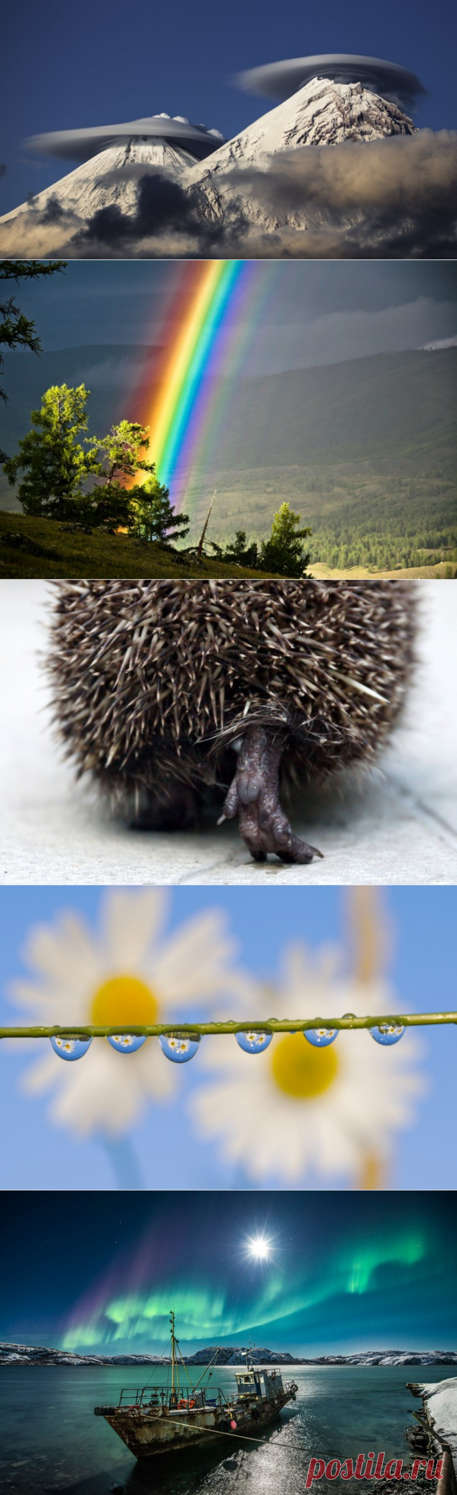 15 фотографий дикой природы России, от которых замирает сердце