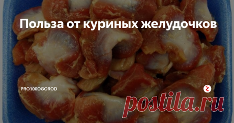 Польза от куриных желудочков Такой субпродукт, как куриные желудочки, нередко занимает почетное место в рационе многих любителей мясных блюд. Все дело в том, что желудочки при правильном приготовлении получаются очень вкусными и питательными, они отлично сочетаются с овощными гарнирами и всевозможными кашами, а также весьма полезны.
Почему надо готовить и употреблять данный субпродукт:
Куриные желудочки богаты на высококачест