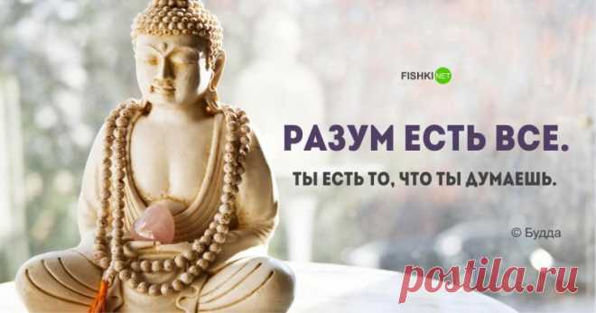 Матвей Степанов | ВКонтакте