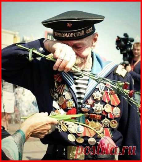 Дневник Петрович61