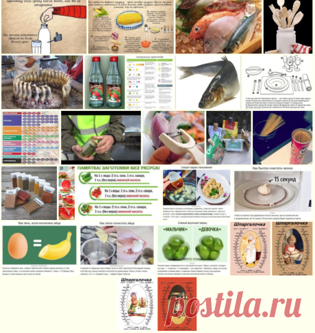 Gallery.ru / Vladikana - Альбом "Полезные советы в кулинарии"