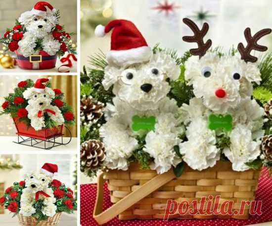 Инструкции Щенка Букет Смотреть Видео-Учебник