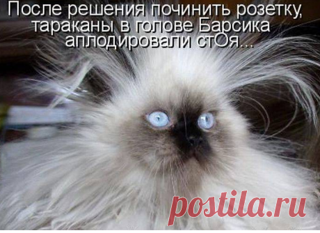 Барсик