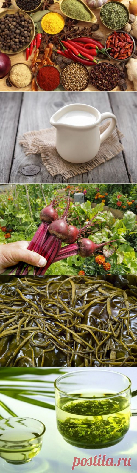 Как поддержать здоровье при резкой смене погоды — 6 соток