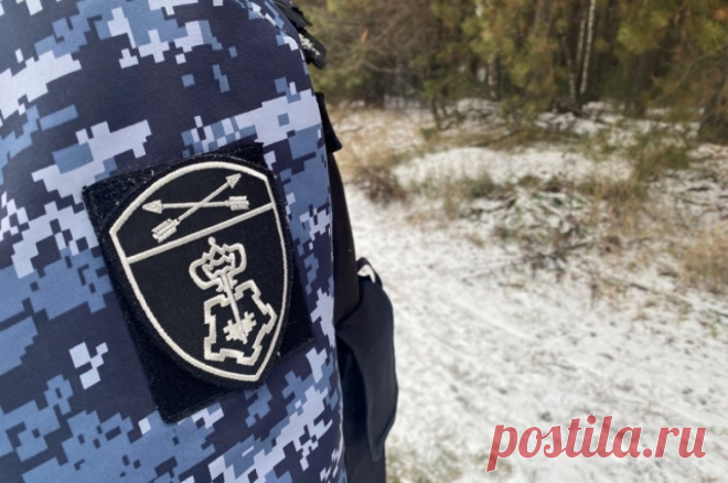 Правительство одобрило сохранение рабочих мест за добровольцами Росгвардии. Законопроект предлагает предоставить добровольцам Росгвардии на время службы по контракту социально-трудовые гарантии.