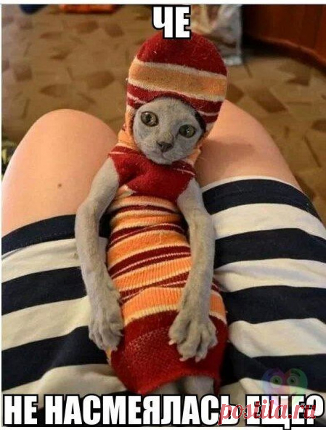 Из цикла 