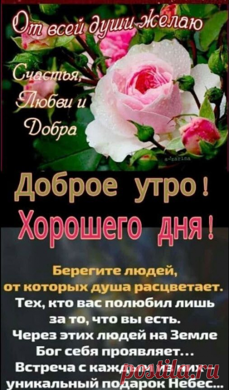 Фотоальбом Разное группы Красивые открытки
