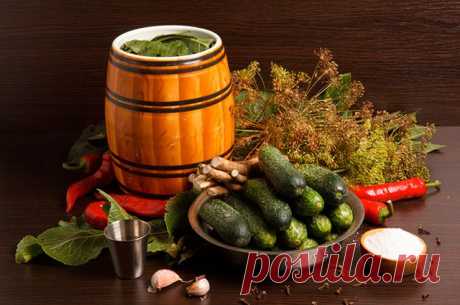 Тонкости домашнего консервирования и маринования огурцов, чтобы было вкусно и хрустели