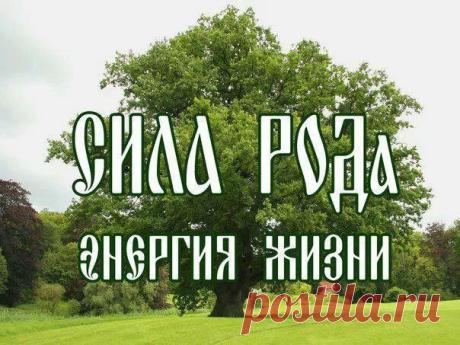 С удовольствием сажали дубы на Руси возле самого дома - они помогали на долгие годы сохранить здоровье и силы, оказывали благотворное влияние на судьбу его детей и внуков - иногда вплоть до пятого поколения.

Дуб долго привыкает к человеку. Иногда проходит полгода - год, прежде чем он действительно начинает считать вас своим. Но если он примет вас в свое сердце, не отпустит и не забудет никогда! Частица его силы будет с вами везде, где бы вы ни были, ведь мы уже говорили, ...