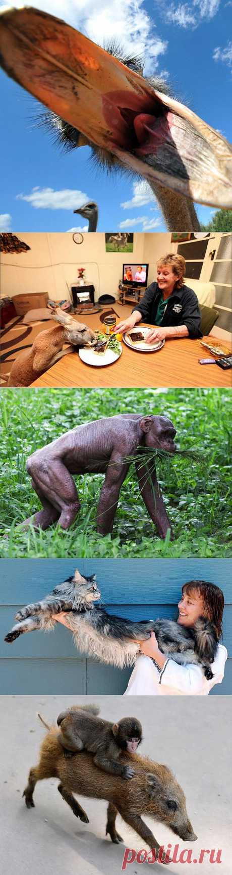 &amp;raquo; Животные в новостях Это интересно!