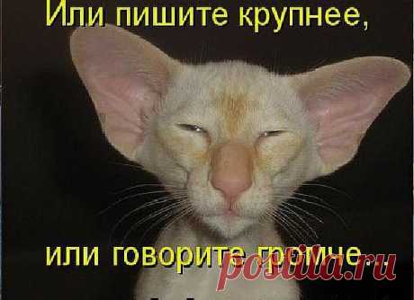 Котоматрица