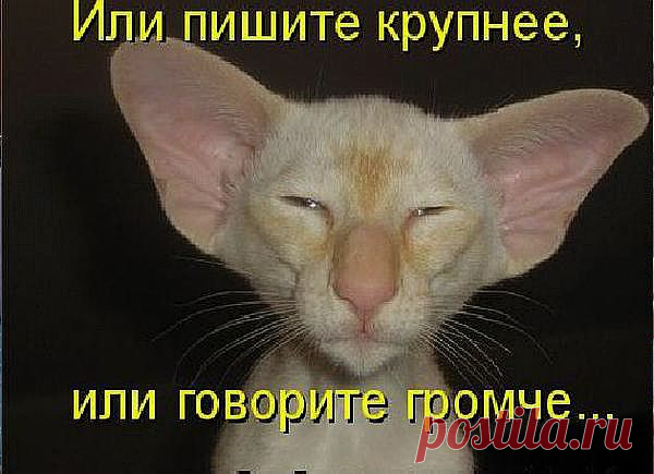 Котоматрица поднимает настроение.