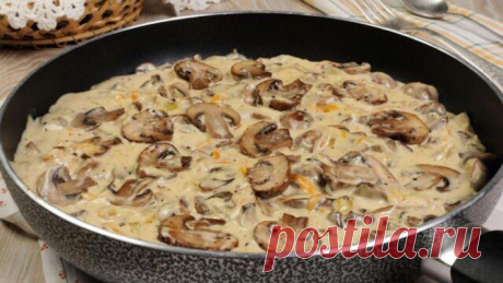 Курица с грибами в кефирном соусе Рецепты с шампиньонами и курицей должны быть под рукой у каждой хозяйки. Это вкусное и сытное блюда. В этом случае готовится кефирный соус, что делает блюдо еще и низкокалорийным.  Можно к такой курочке отварить любую кашу и полить соусом этого блюда. Ароматно и сочно! Ингредиенты: Куриное филе — 750 г Шампиньоны — 500 г Кефир …