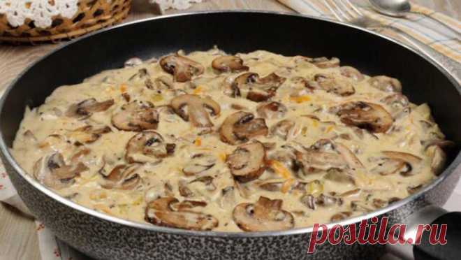 Курица с грибами в кефирном соусе Рецепты с шампиньонами и курицей должны быть под рукой у каждой хозяйки. Это вкусное и сытное блюда. В этом случае готовится кефирный соус, что делает блюдо еще и низкокалорийным.  Можно к такой курочке отварить любую кашу и полить соусом этого блюда. Ароматно и сочно! Ингредиенты: Куриное филе — 750 г Шампиньоны — 500 г Кефир …