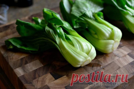 15 немолочных продуктов с высоким содержанием кальция