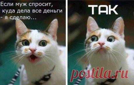 Одноклассники
