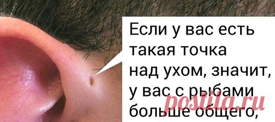 7 фактов о человеке, которые знают только антропологи: