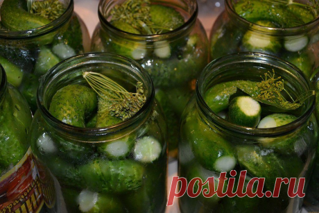 (99) Одноклассники