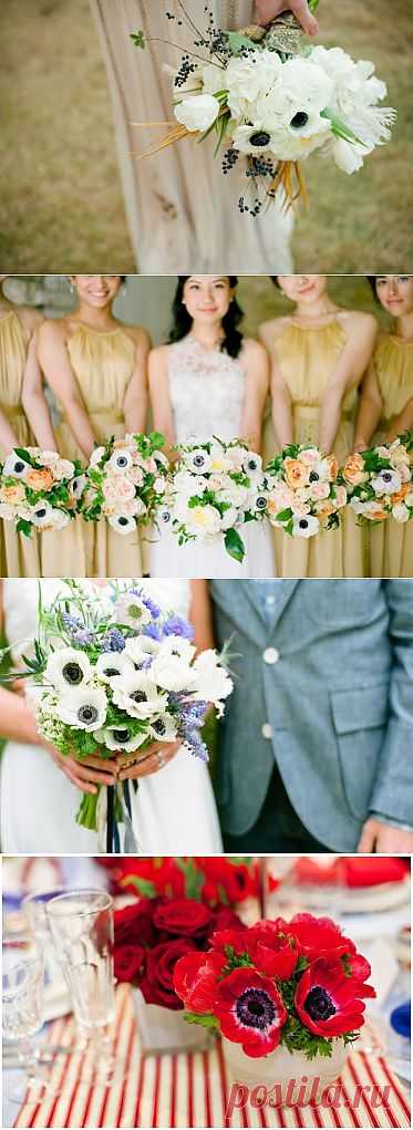 Цветы в деталях: анемона - WeddyWood