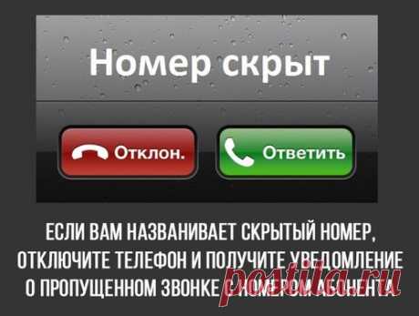 9 интересных советов, которые вы никогда не слышали