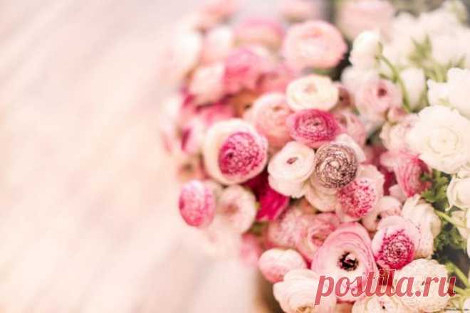 Как продлить жизнь срезанным цветам Одним из способов декора и восхитительного украшения интерьера являются живые срезанные цветы. Их тонкий приятный аромат и чарующий внешний вид поднимают настроение и заряжают позитивом с самого утра ...