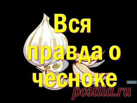 Вся правда о чесноке. О пользе и противопоказаниях