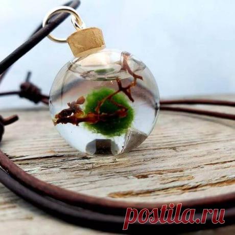 Миниатюрный аквариум как элемент декора