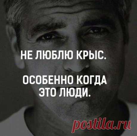 Подписываемся Комментируем.. Понравилось..  @krutoi_pablik_kg  @krutoi_pablik_kg  @krutoi_pablik_kg #взаимнаяподписка #motivation #ufc #братва #машины #цель #смысл #мотивация #друг #здоровье #цитаты #спорт #москва #like #follow #смыслжизни #золото #sport #кыргызстан #правильноепитание #box #fight #insta #motivation #sport #футбол #успех #деньги #гонки #скорость #бизнес #бишкек