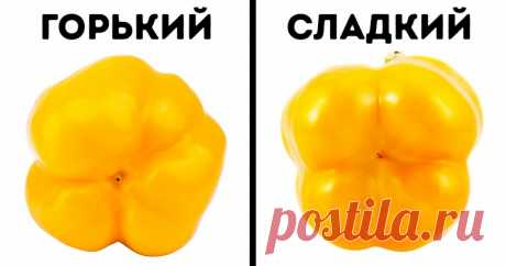 11 хитростей, как выбирать только вкусные продукты Качественные ингредиенты — полезные блюда.